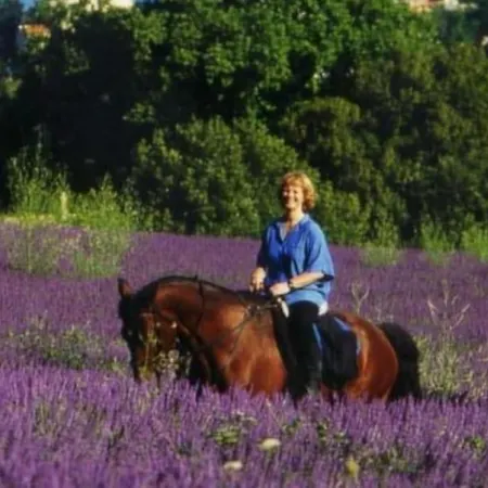 Сasa de vacaciones Provencale 3