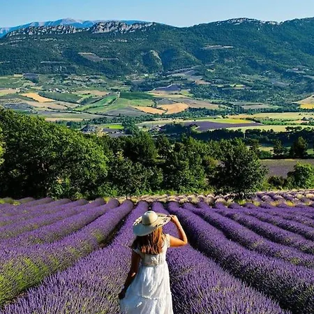 Provencale 3 Сasa de vacaciones *